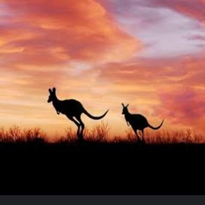 lm a fair dinkum aussie, take no bullsh*t, love this country, back on land & soil. So what happened to the tartarians?