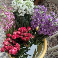 (Ø,G)wangfang9009(✸,✸)꧁IP꧂ (@wangfang9009) 's Twitter Profile