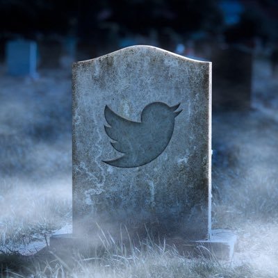 SegolameBa13327's profile picture. g tsamaa🚶‍♀️🚶‍♀️🚶‍♀️k g walker🚶‍♀️🚶‍♀️🚶‍♀️