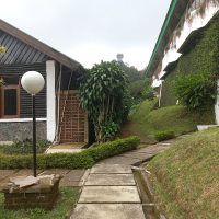 minai_sim (@minai_sim) 's Twitter Profile