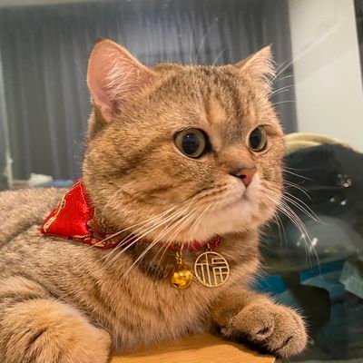 thisisppppppppp's profile picture. • Everything happens for a reason •