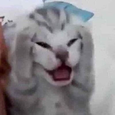 สึมละมุนさんのプロフィール画像