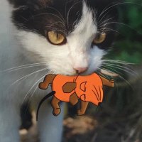 Lars (@lars94178395) 's Twitter Profile Photo Lars (@lars94178395) 's Twitter Profile Photo