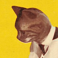 Cat Detective Albert Wilde || Demo out (@beyond_hills) 's Twitter Profile Photo Cat Detective Albert Wilde || Demo out (@beyond_hills) 's Twitter Profile Photo
