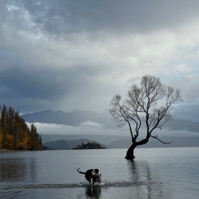 manontrip's profile picture. 