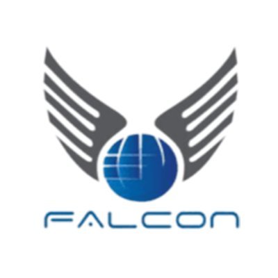 falconairsea's profile picture. We provide services as an import consultant, air & sea logistics, CHA, customs clearing agent, and international freight forwarding in trade.