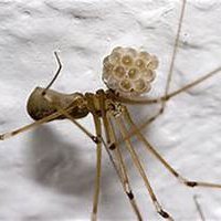 QasehNurul65072's profile picture. Travel, adventure, and discovering new places are my passions. #Distillery #Fitness #Fun