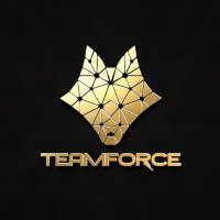 TeamForce CRM(@team_forcecrm) 's Twitter Profile Photo