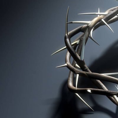 balmus's profile picture. A calm mind is all that is needed to survive 💎 / crypto enthusiasts💥