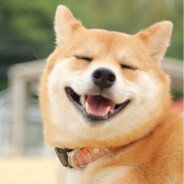 Noah (@botnooah) 's Twitter Profile