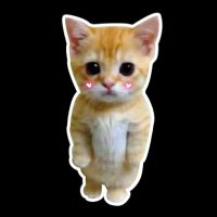 flame (@0xflamex0) 's Twitter Profile