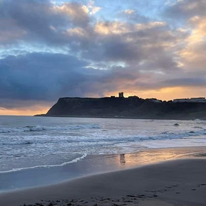 coastalvibes0's profile picture. 