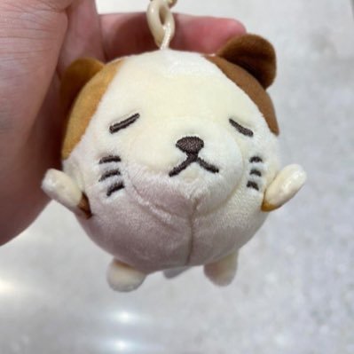 Aomoum1114's profile picture. 