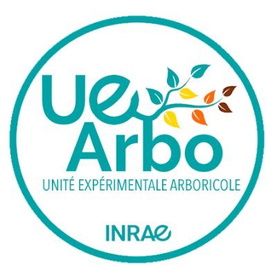 UEArbo Profile Picture