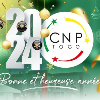 Le Conseil National du Patronat du Togo est composé d'associations professionnelles et entreprises. le CNP– Togo travaille en partenariat avec le Gouvernement.