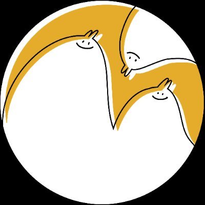 rnmさんのプロフィール画像