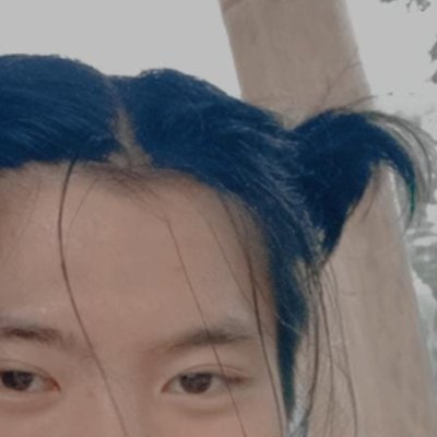 pluffymonster's profile picture. 