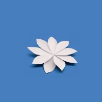 Josue Miyimi (@josue_miyimi) 's Twitter Profile Photo Josue Miyimi (@josue_miyimi) 's Twitter Profile Photo