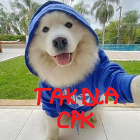 Ubstan (@ubstan) 's Twitter Profile