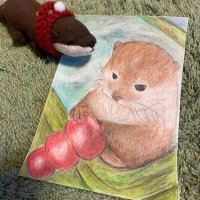 畳 (@tatami_kyu) 's Twitter Profile