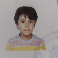 🇵🇸 (@metasedin) 's Twitter Profile