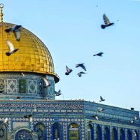 Hamza Kaya (@hamzakaya2021) Twitter profile photo