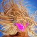 Nube Voladora (@zych_ana) Twitter profile photo Nube Voladora (@zych_ana) Twitter profile photo