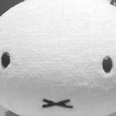 saliさんのプロフィール画像