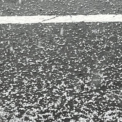 wh5MvToZ6X37503's profile picture. 