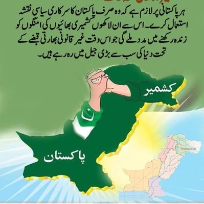 MohammadTausee3's profile picture. لبیک غزوہند