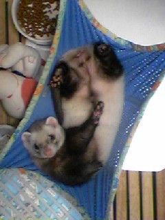 mapos001's profile picture. 