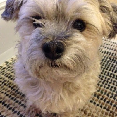 Hartreefok's profile picture. 