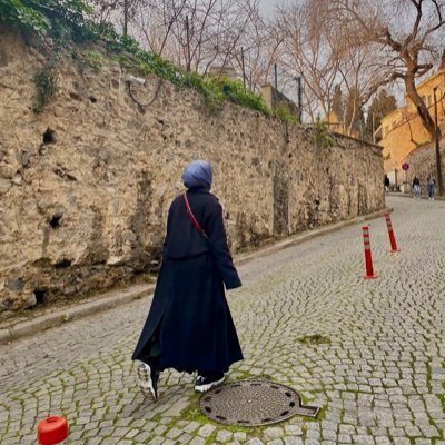 ervagah's profile picture. ni oui ni non, oui et non