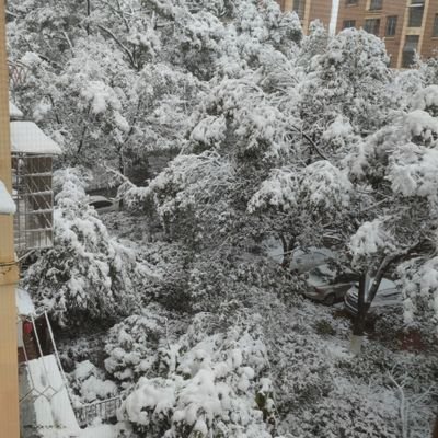 weioz3's profile picture. 