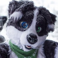 Flop & Chill (@tay_blackpaw) 's Twitter Profile