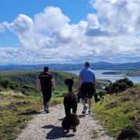 wild alpaca way (@way_alpaca) 's Twitter Profile