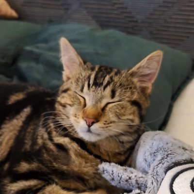 Rattler350's profile picture. Need for Speed modder that focuses on improving the handling.