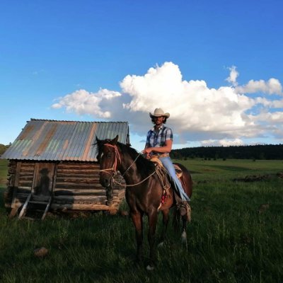 mora_herrera's profile picture. 