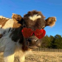 Slunch (@slunch_hunch) 's Twitter Profile