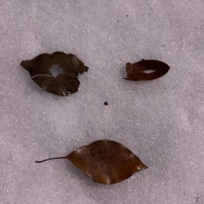るいとさんのプロフィール画像