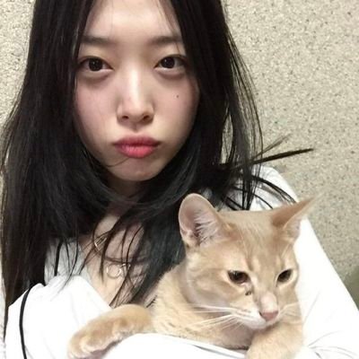 mastudiees's profile picture. studytwt.