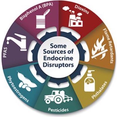 joelatin22's profile picture. The vax industry, accused by scientists of making children sick and causing SIDS, is worried about what RFK Jr. might do to protect children from further harm.