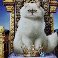 RRR (@pkhdbmbhi724894) 's Twitter Profile