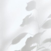 ᴊᴜsᴛ (@justksc) 's Twitter Profile