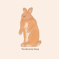 The Brownie Gang🤎(@TheBrownieGang) 's Twitter Profile Photo