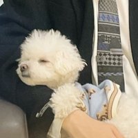 ▼・ᴥ・▼ (@kd83869530) 's Twitter Profile