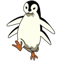 Icy penguin (@icy_penguin1) 's Twitter Profile
