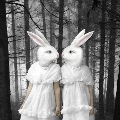 m_a_y_b_e_h's profile picture. 1stブライトさまー🩵2stブライトスプリング🤍顔タイプ＋エレガント＋💜骨格＋ナチュラル🩶