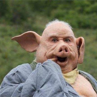 CCdahema's profile picture. 