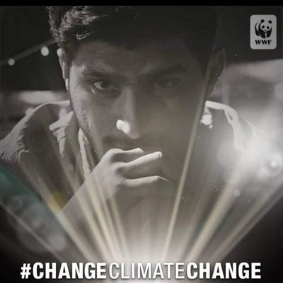 zain1992ali's profile picture. #Traveller 
#Environmentalist
#Safety 1st